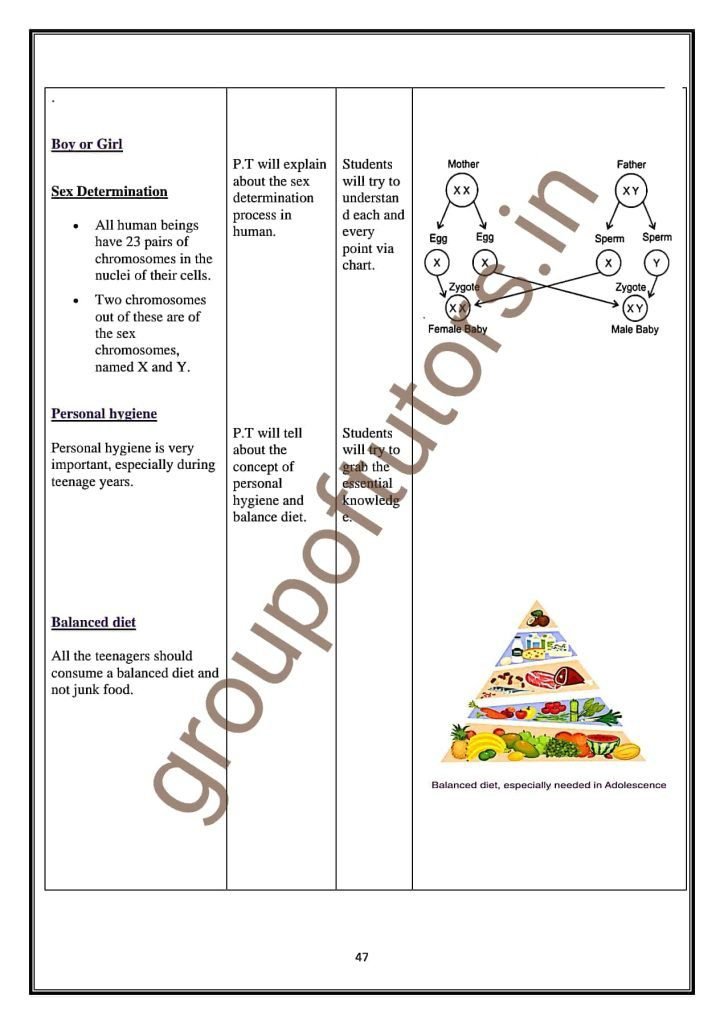 Adolescence Lesson Plan Class 8 - Group Of Tutors