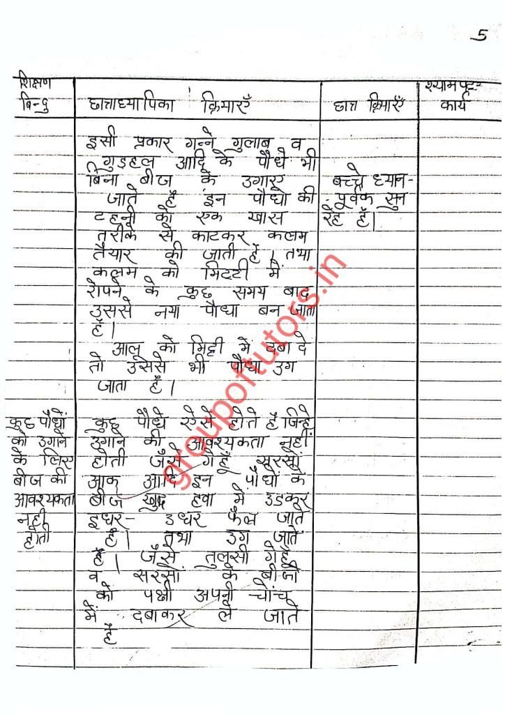 बीज से बीज तक SST Lesson Plan Group Of Tutors