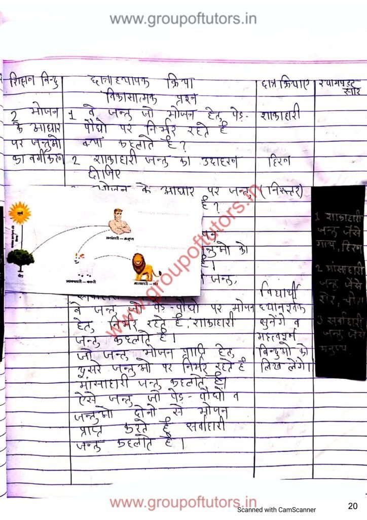 Vigyan Lesson Plans for B.Ed Kota University