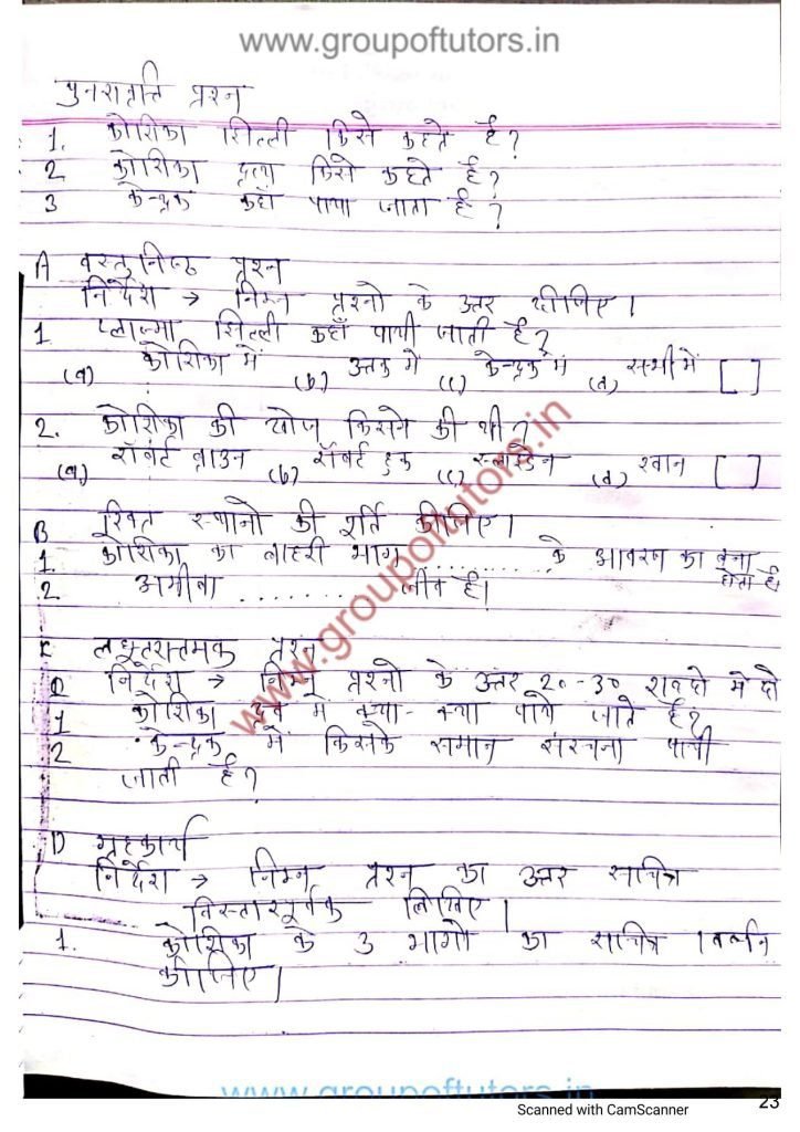 Jeev Vigyaan Pathay Yojna Group Of Tutors