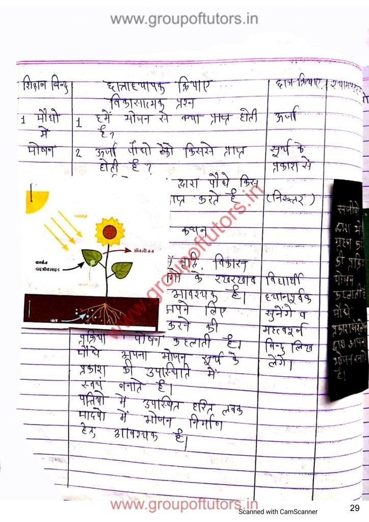 पौधों में पोषण पाठ योजना [Nutrition in Plants] Group Of Tutors Lesson Plans for B.Ed