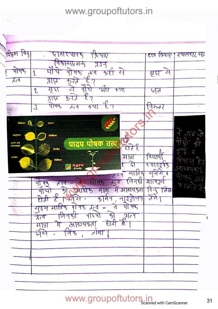 Nutrition in Plants Group Of Tutors Lesson Plans for B.Ed
