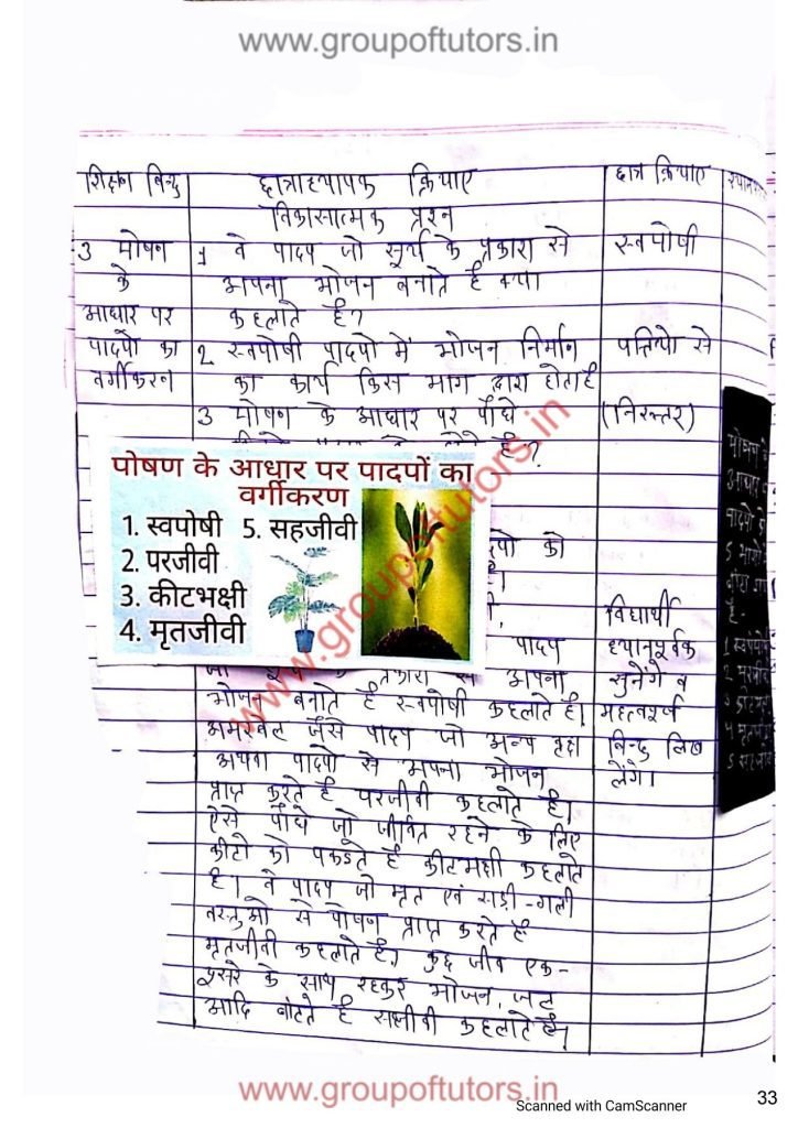 Nutrition in Plants Group Of Tutors Lesson Plans Science for B.Ed