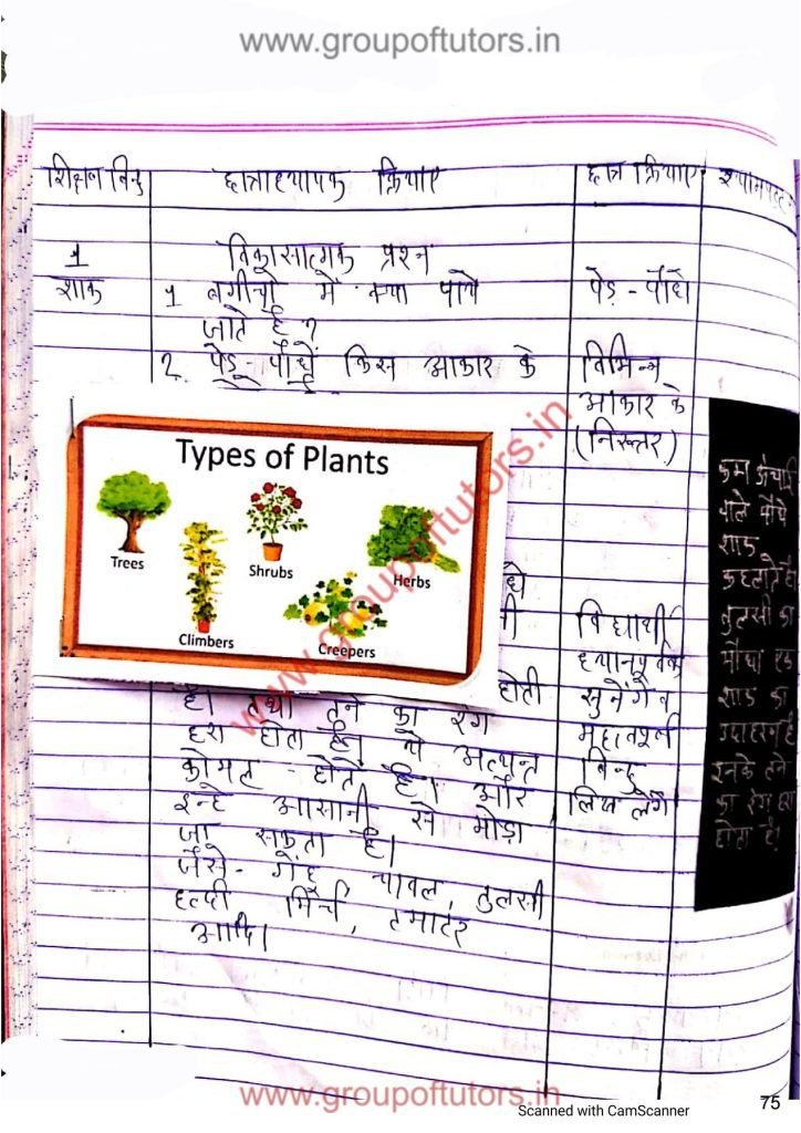 पौधों के प्रकार पाठ योजना विज्ञान B.Ed Lesson Plan Science Types of plants Group Of Tutors Lesson Plans