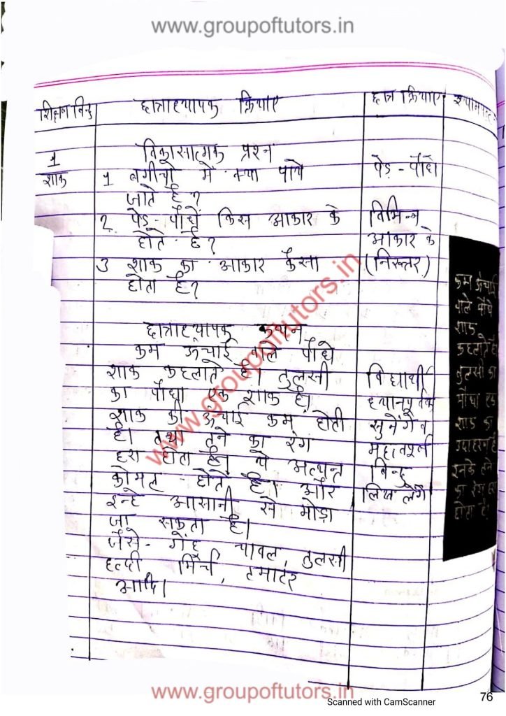 पौधों के प्रकार पाठ योजना विज्ञान B.Ed Lesson Plan Science Types of plants Group Of Tutors Lesson Plans