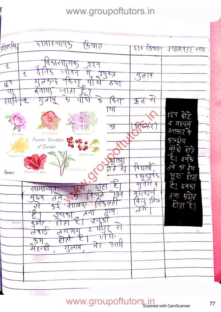 पौधों के प्रकार पाठ योजना विज्ञान B.Ed Lesson Plan Science Types of plants Group Of Tutors Lesson Plans