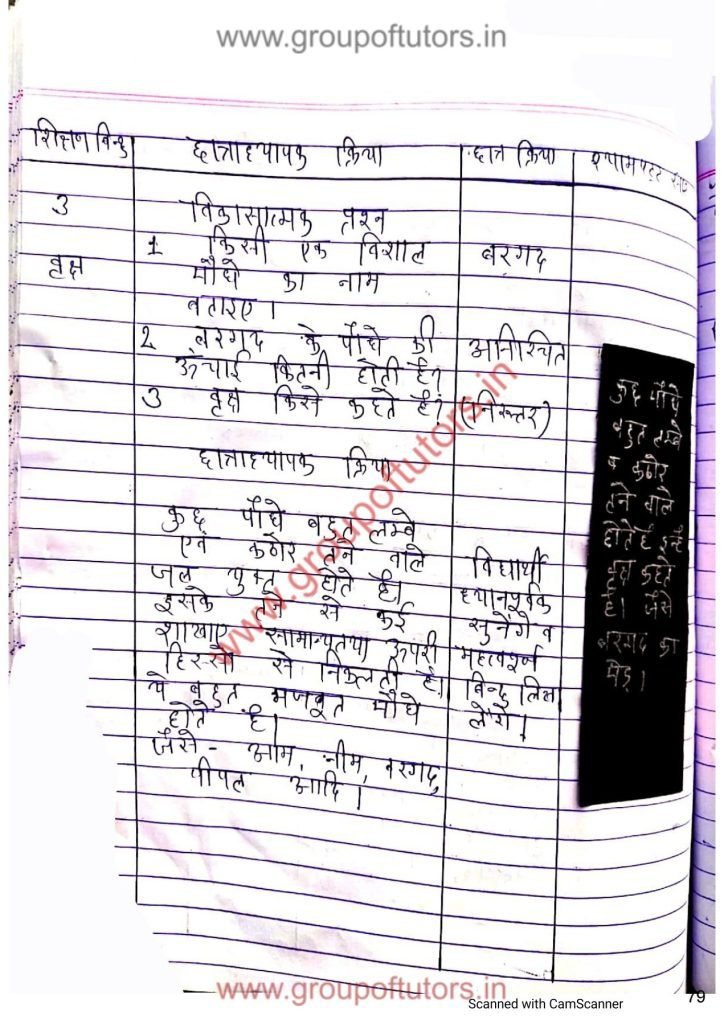 B.Ed Lesson Plan Science Types of plants Group Of Tutors Lesson Plans