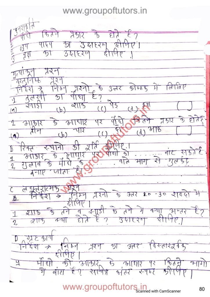B.Ed Lesson Plan Science Types of plants Group Of Tutors Lesson Plans