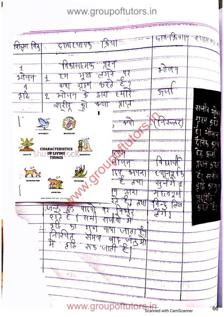 सजीवों के लक्षण पाठ योजना B.Ed LEsson Plans Group OF Tutors Characteristics Of Animals