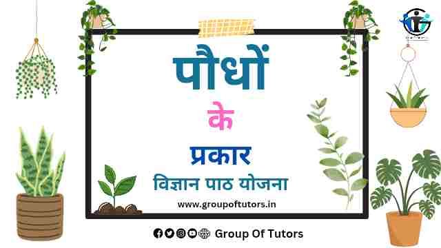 पौधों के प्रकार पाठ योजना विज्ञान Types of plants lesson plan science Group Of Tutors